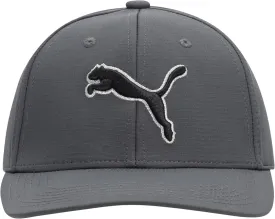 PUMA Evercat Dillon Stretch Fit Cap